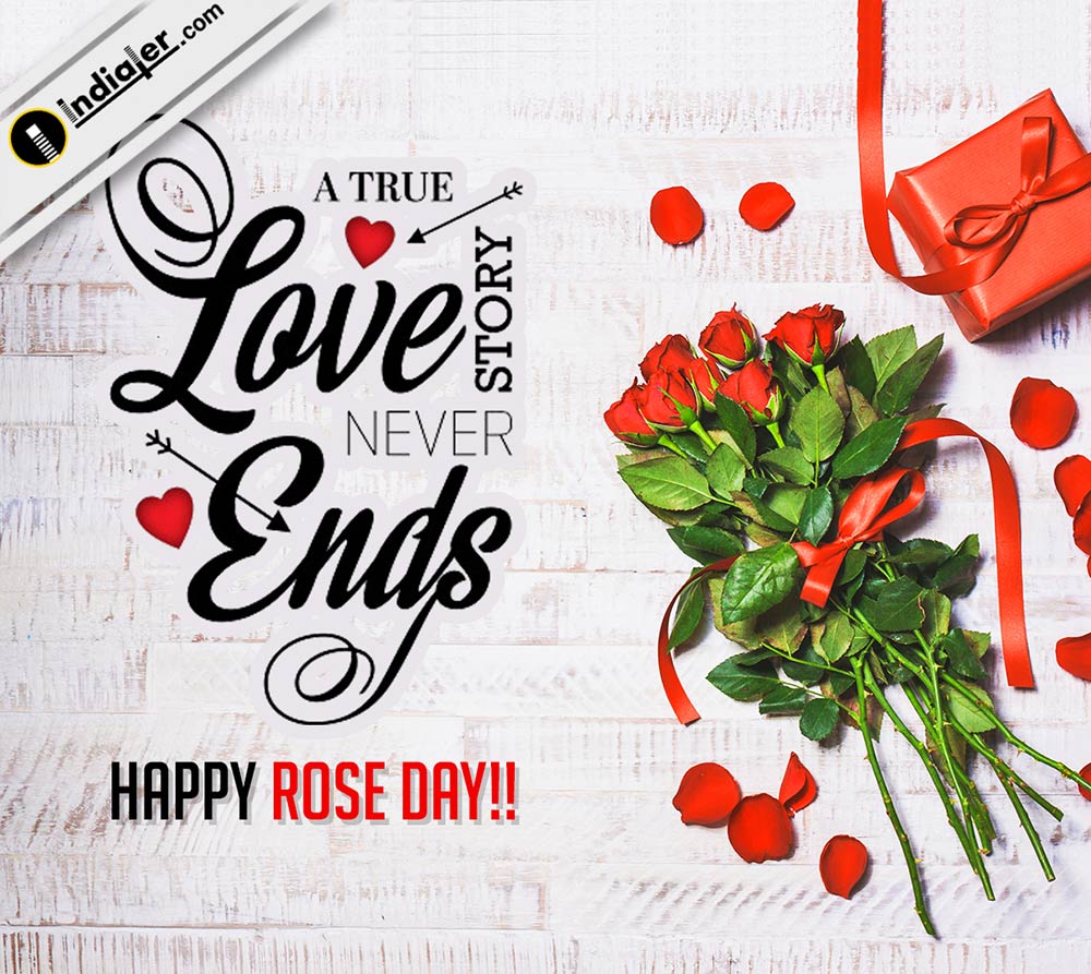 free-rose-day-wishes-greeting-cards-whatsapp-psd