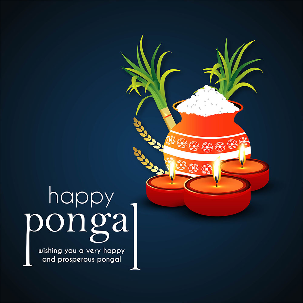 happy pongal wishes background free hd image