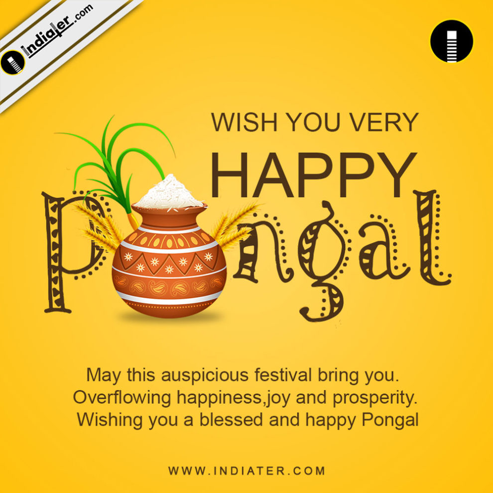Happy Pongal Holiday Festival Celebration Banner